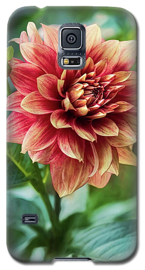 Dahlia Galaxy S5 Case featuring the photograph Heat of Summer by Erika Fawcett