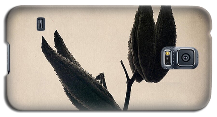 Milkweed Galaxy S5 Case featuring the photograph Held High by RicharD Murphy