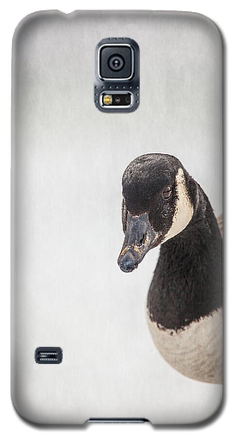 Canada Goose Point Galaxy S5 Case featuring the photograph Hello There by Karol Livote