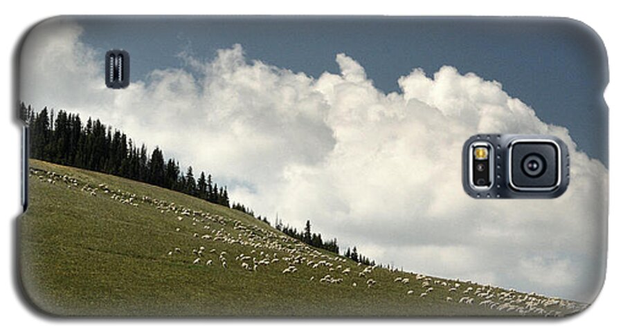 God Galaxy S5 Case featuring the photograph HIS Pastures.. by Al Swasey
