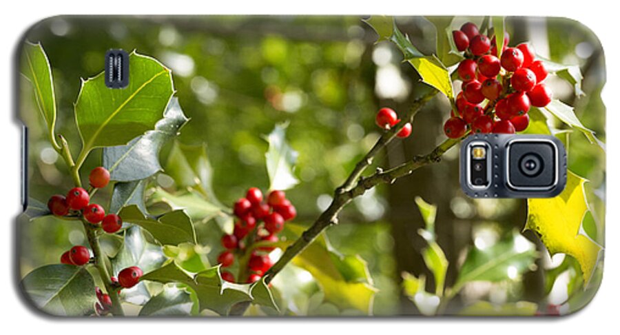 Holly Galaxy S5 Case featuring the photograph Holly With Berries by Chevy Fleet
