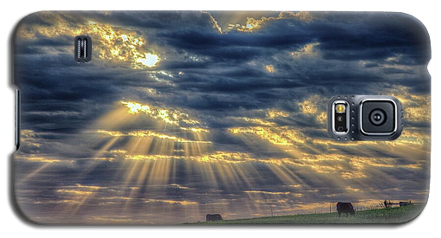 Sunbeam Galaxy S5 Case featuring the photograph Holy Cow by Fiskr Larsen