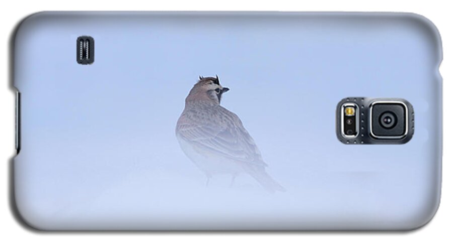 Horned Lark Galaxy S5 Case featuring the photograph Horned Lark by Alyce Taylor