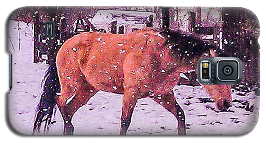 Horse Galaxy S5 Case featuring the photograph Horse in Snow by Chuck Brown
