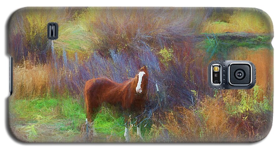 Horse Galaxy S5 Case featuring the photograph Horse Of Many Colors by Jim Cook