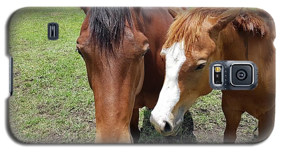 Horse Galaxy S5 Case featuring the photograph Horse Love by Cassy Allsworth