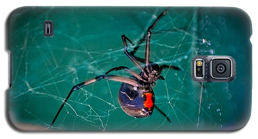Brown Widow Galaxy S5 Case featuring the photograph Hour Glass of Death by DigiArt Diaries by Vicky B Fuller