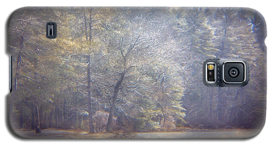 Winter Galaxy S5 Case featuring the photograph Howe State Park in Winter by Michele A Loftus