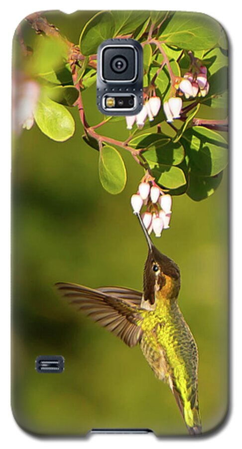 Bird Galaxy S5 Case featuring the photograph Hummingbird and Manzanita blossom by Paul Johnson