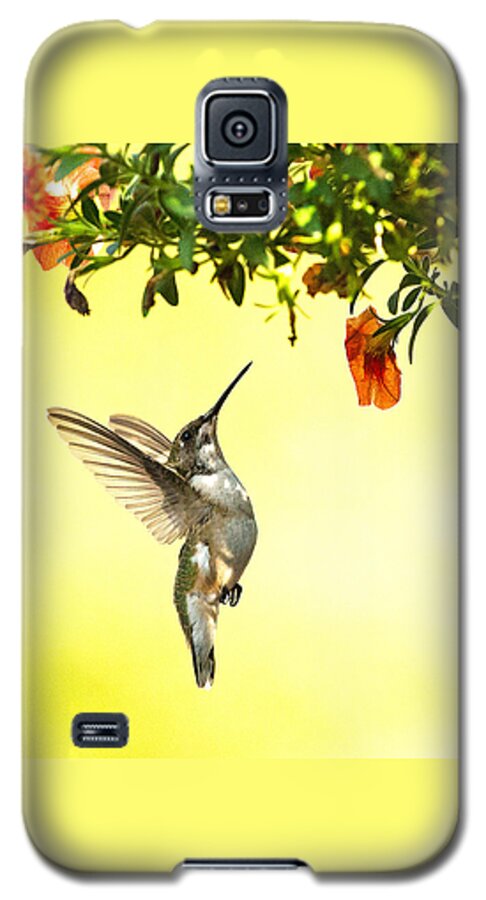 Hummingbird Galaxy S5 Case featuring the photograph Hummingbird Under the Floral Canopy by William Jobes