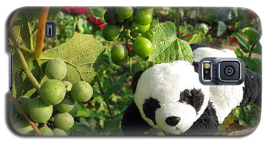 Baby Panda Galaxy S5 Case featuring the photograph I love grapes B by Ausra Huntington nee Paulauskaite
