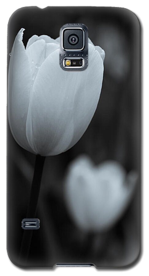 2015 Galaxy S5 Case featuring the photograph I see you by Wade Brooks