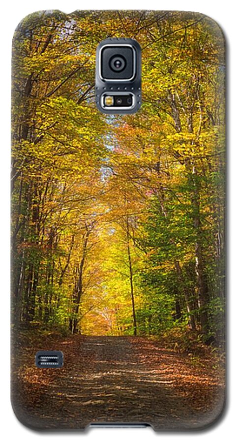 Fall Galaxy S5 Case featuring the photograph Illumined by Kim Carpentier