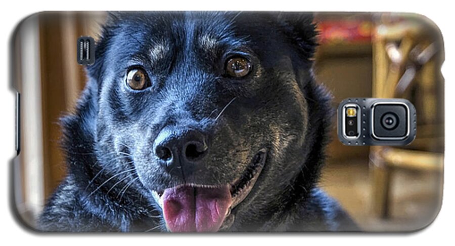 Dog Galaxy S5 Case featuring the photograph Ready When You Are by Keith Armstrong