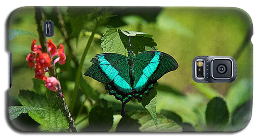 Butterfly Galaxy S5 Case featuring the photograph In a Butterfly World by Milena Ilieva