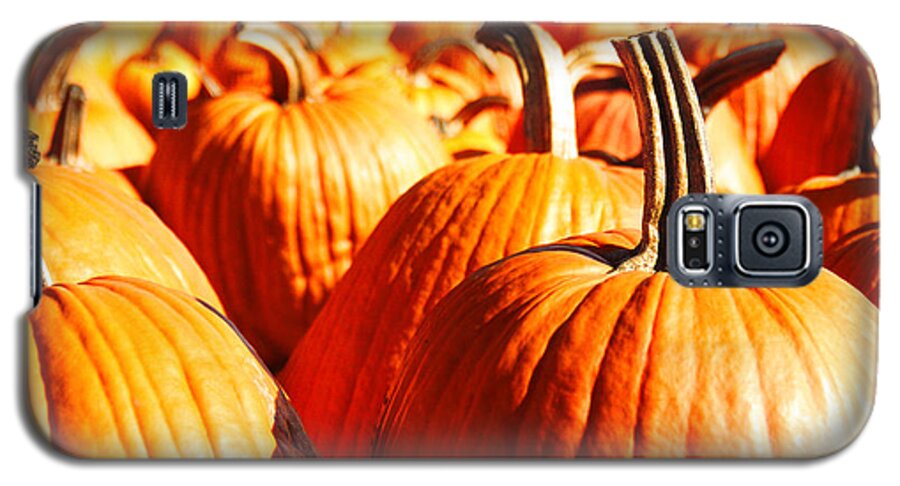 Pumpkins Galaxy S5 Case featuring the photograph In the days still left by Dana DiPasquale