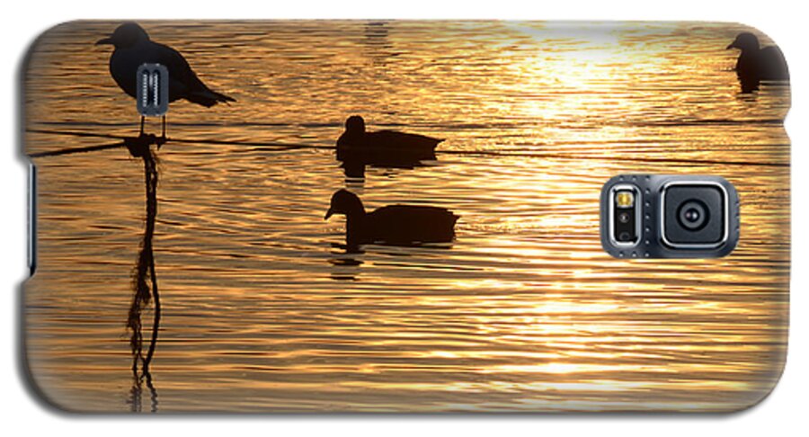 Beautiful Galaxy S5 Case featuring the photograph In the golden pool by Arik Baltinester