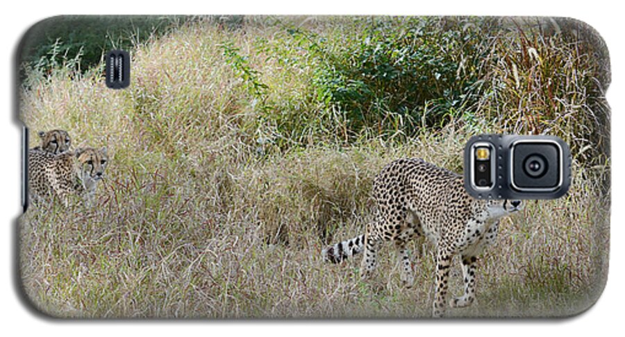 Cheetahs Galaxy S5 Case featuring the photograph In The Lead by Fraida Gutovich