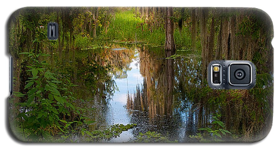 Circle Bar B Reserve Galaxy S5 Case featuring the photograph In the swamp by Carolyn D'Alessandro