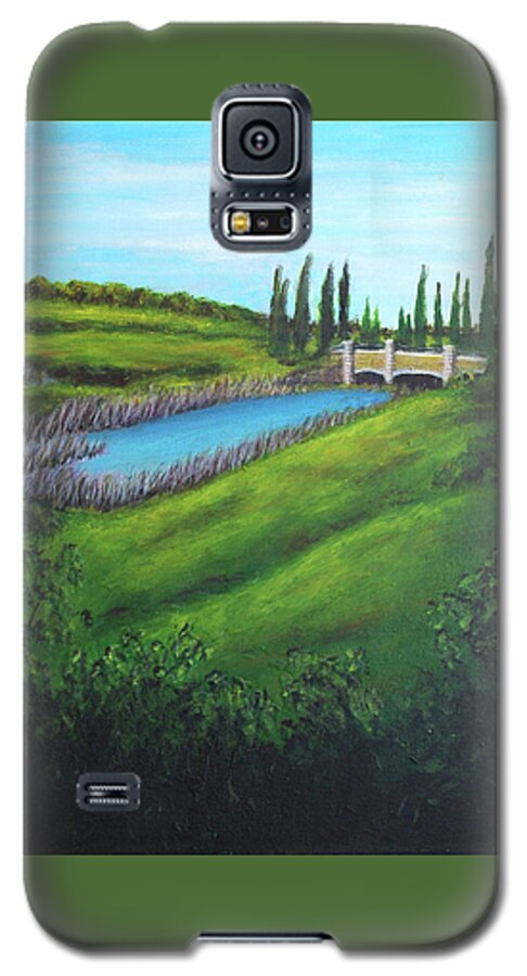 Mountain House Galaxy S5 Case featuring the painting Inspiration in Mountain House by Barbara J Blaisdell
