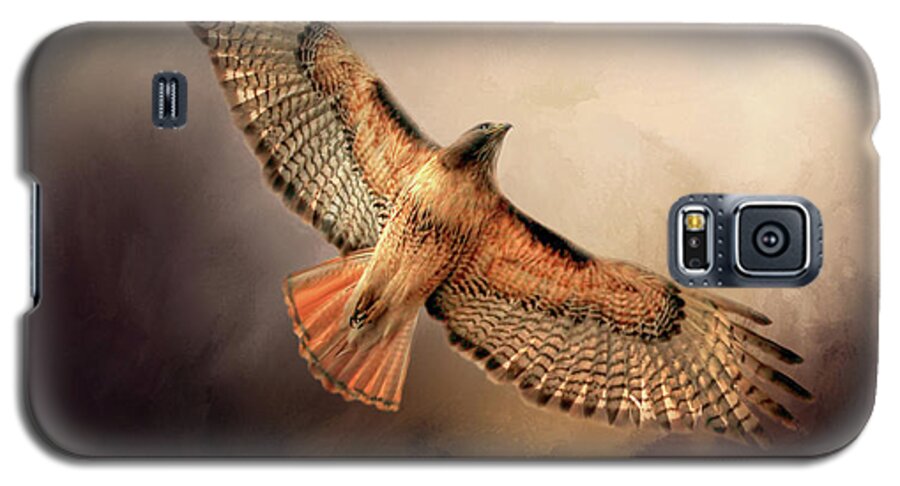 Red Tailed Hawk Galaxy S5 Case featuring the photograph Into the Light by Donna Kennedy