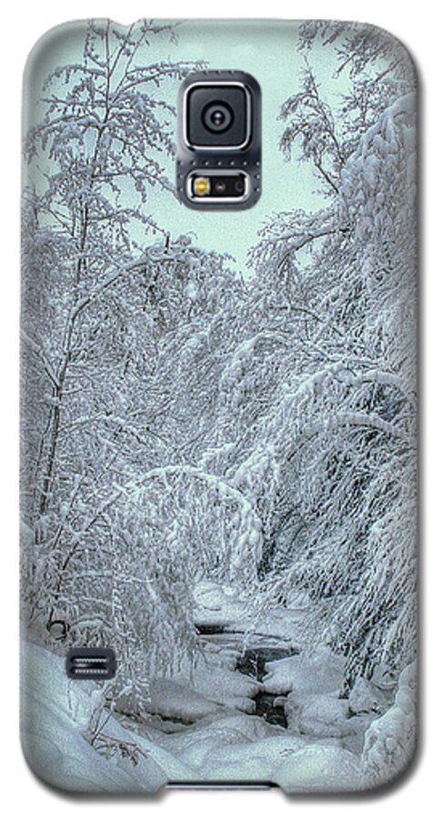 White Galaxy S5 Case featuring the photograph Into White by Wayne King