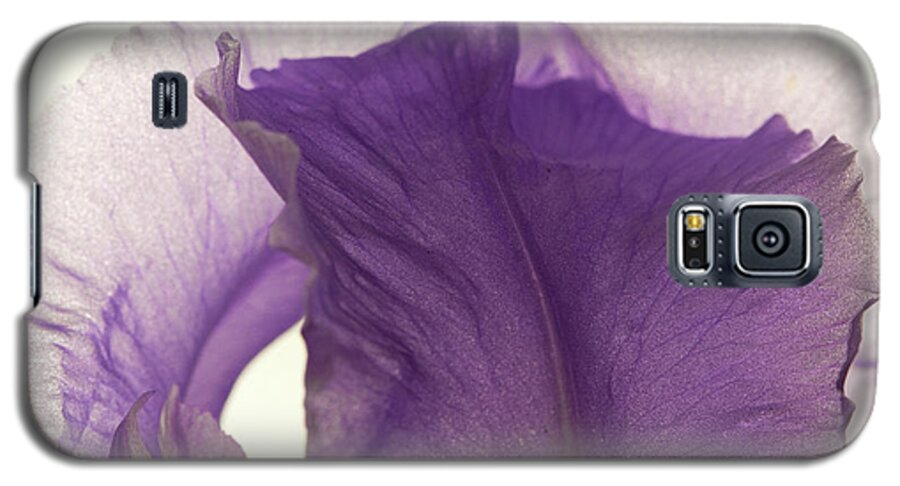 Iris Galaxy S5 Case featuring the photograph Simplicity of the Purple Iris by Kevin Schwalbe