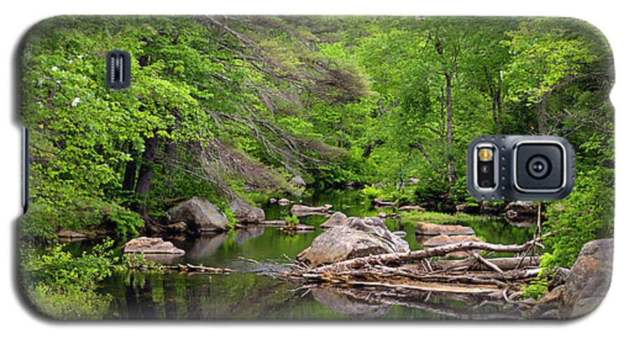 Landscape Galaxy S5 Case featuring the photograph Isinglass River, Barrington, NH by Betty Denise