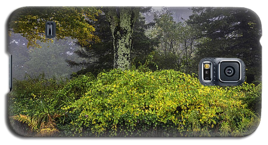 Ivy Galaxy S5 Case featuring the photograph Ivy Garden by Ken Barrett
