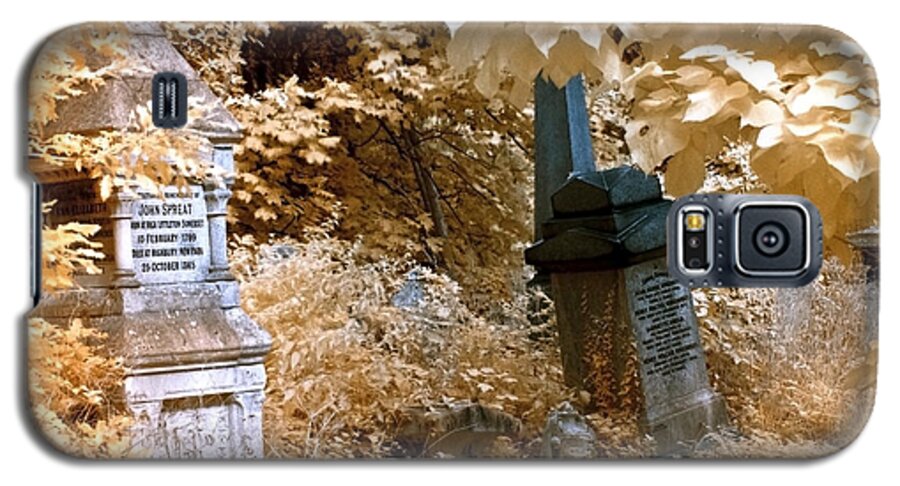John Spreat Galaxy S5 Case featuring the photograph Autumnal walk at Abney Park cemetery by Helga Novelli