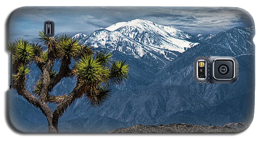 California Galaxy S5 Case featuring the photograph Joshua Tree at Keys View in Joshua Park National Park by Randall Nyhof