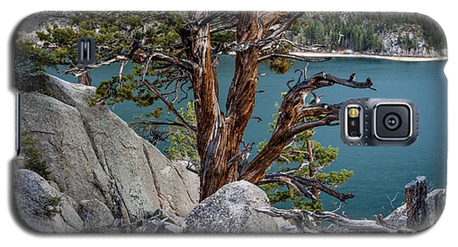 Water Galaxy S5 Case featuring the photograph June Lake Juniper by Cat Connor