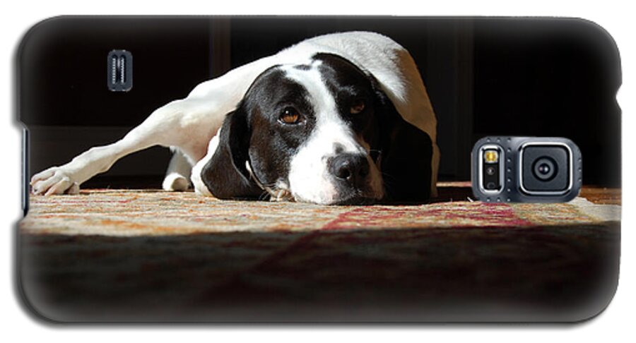Dogs.animal Galaxy S5 Case featuring the photograph Junebug by Robert Meanor