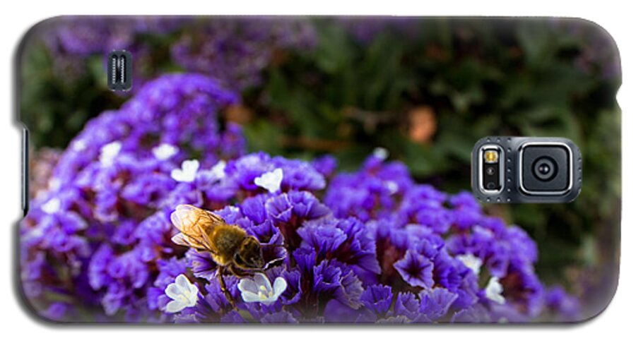 Bee Galaxy S5 Case featuring the photograph Just a quick stop by Lora Lee Chapman