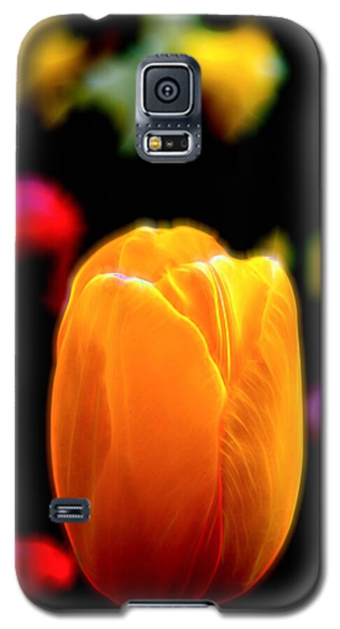 Keukenhof Garden Galaxy S5 Case featuring the photograph Just a Tulip by Kevin McClish