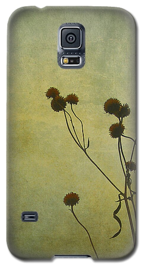 Just Weeds Galaxy S5 Case featuring the photograph Just Weeds . . . by Judi Bagwell