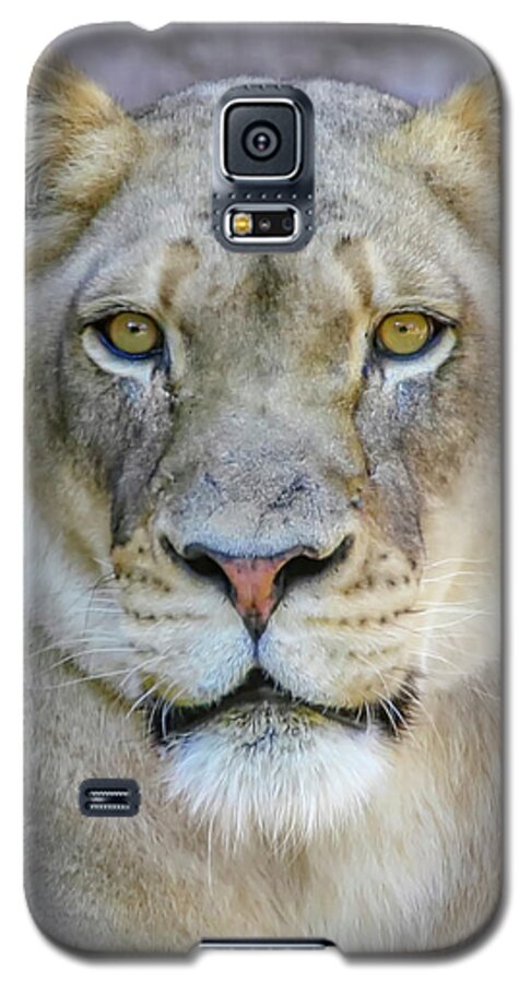 Lions Galaxy S5 Case featuring the photograph Kaya Portrait by Elaine Malott