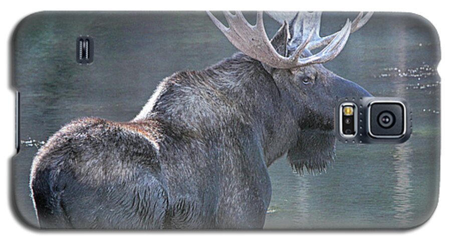 Bull Moose Galaxy S5 Case featuring the photograph Keeping Watch by Marta Alfred