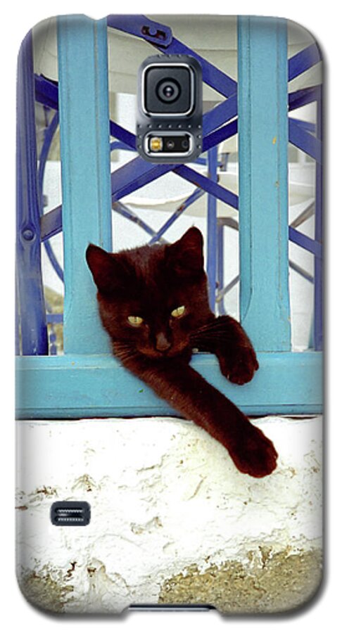 Cuddly Galaxy S5 Case featuring the photograph Kitten with Blue Rail by Frank DiMarco