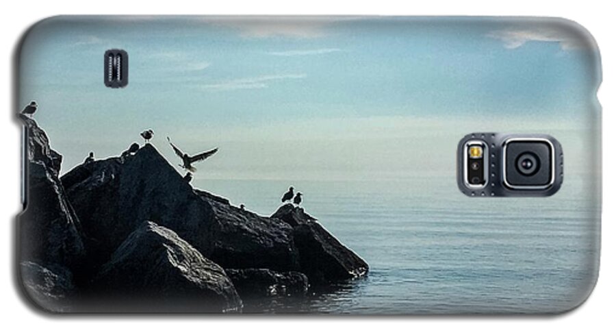 Seagulls Galaxy S5 Case featuring the photograph Klode Gulls by Terri Hart-Ellis