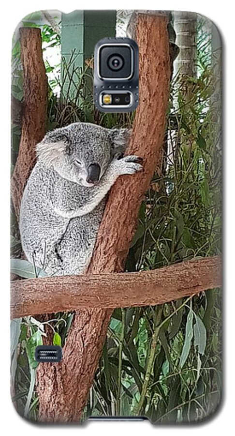 Koala Galaxy S5 Case featuring the photograph Koala by Cassy Allsworth