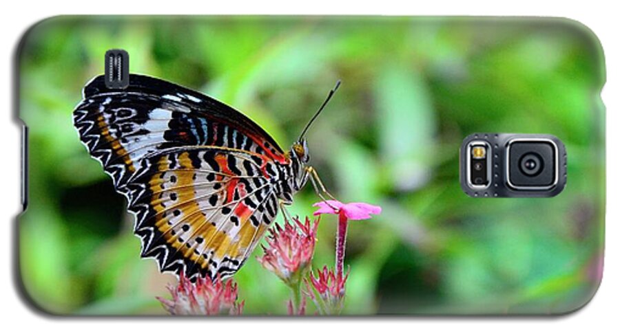 Butterfly Galaxy S5 Case featuring the photograph Lace Wing Butterfly by Corinne Rhode