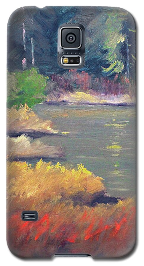 Lagoon Landscape Painting Galaxy S5 Case featuring the painting Lagoon by Nancy Merkle