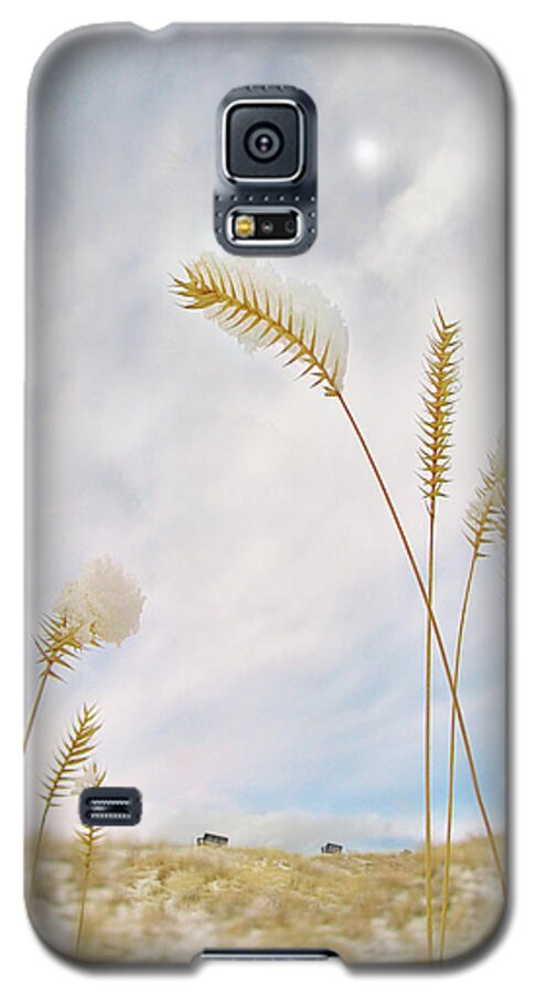 Munson Mountain Galaxy S5 Case featuring the photograph Last Snow by John Poon