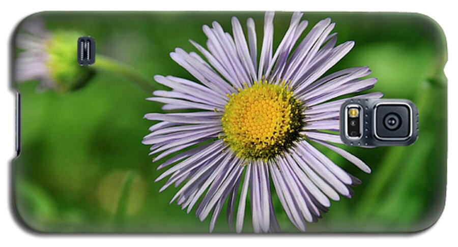 Flowers Galaxy S5 Case featuring the photograph Lavender Serenity by Ron Cline