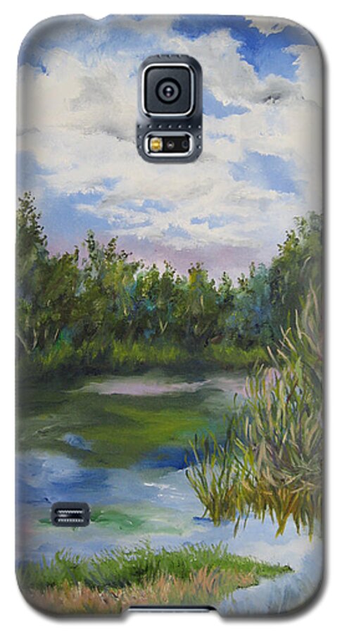 Landscape Galaxy S5 Case featuring the painting Lazy Afternoon in the Park by Lisa Boyd
