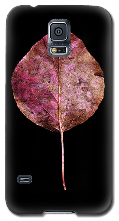 Leaves Galaxy S5 Case featuring the photograph Leaf 20 by David J Bookbinder