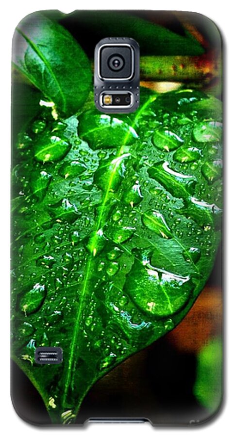 Leaf Galaxy S5 Case featuring the photograph Leaf by Leslie Revels