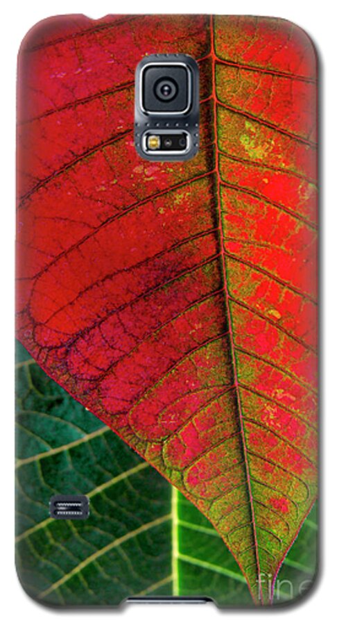 Autumn Galaxy S5 Case featuring the photograph Leafs Macro by Carlos Caetano