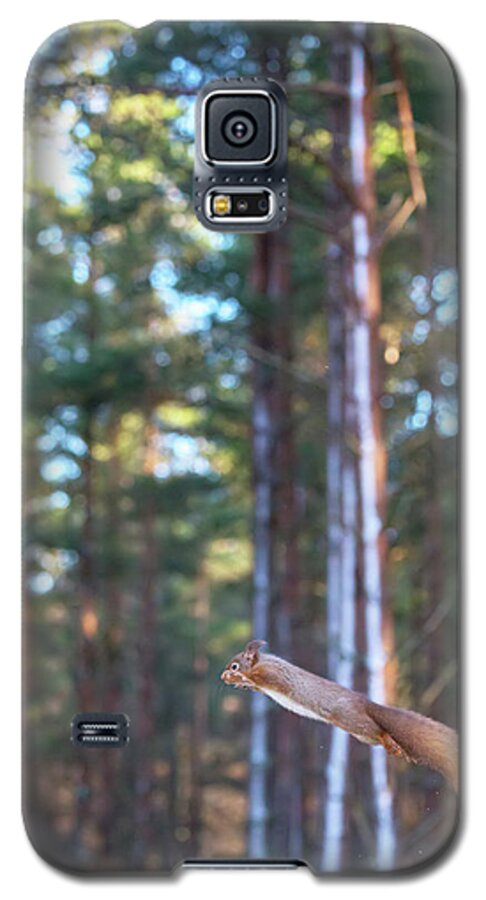 Red Galaxy S5 Case featuring the photograph Leaping Red Squirrel Tall by Pete Walkden